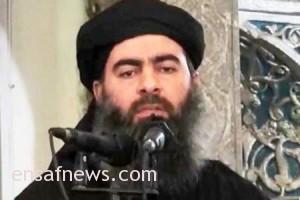 ابوبکر البغدادی
