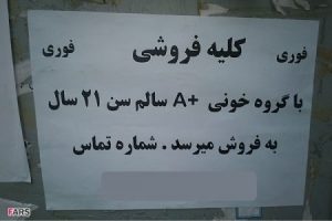 کلیه فروشی