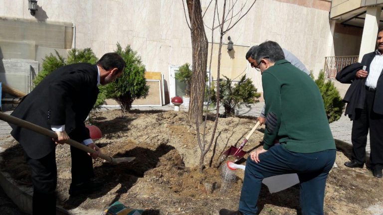 درخت کاری احمدی نژاد