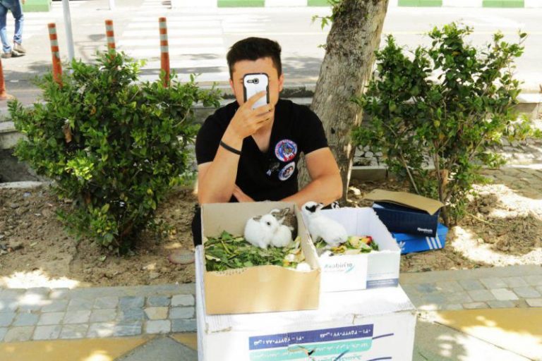 گزارش تصویری پایتخت تا انتخابات – 3 اردیبهشت