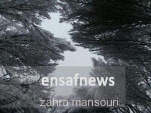عکس | برف در حاشیه اتوبان محلاتی