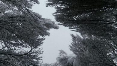 عکس | برف در حاشیه اتوبان محلاتی