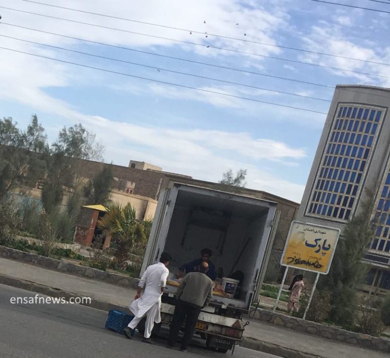 فروش غیرقانونی و غیربهداشتی ماهی در زاهدان [+عکس]