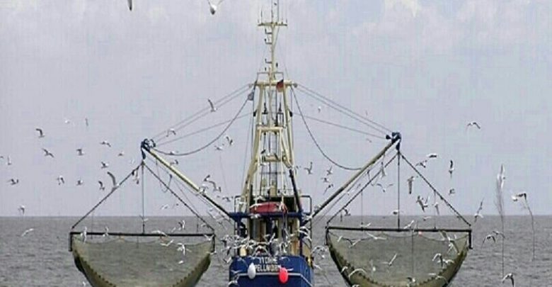 تکذیب واگذاری مجوز صید به شناورهای چینی