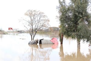 سیل گلستان