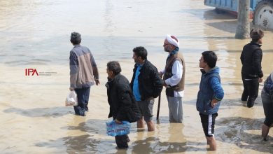 سیل گلستان