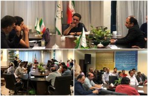 تاج زاده:‌ راه حل کپسولی سراغ نداریم