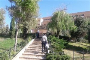 سلاخی یا زایمان