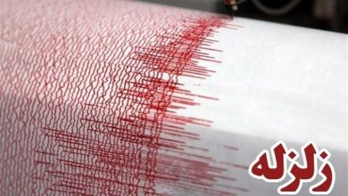 رئیس پایگاه اطلاعاتی مؤسسه ژئوفیزیک: لرزش زمین در خرم‌آباد ناشی از زلزله 2 ریشتری بود