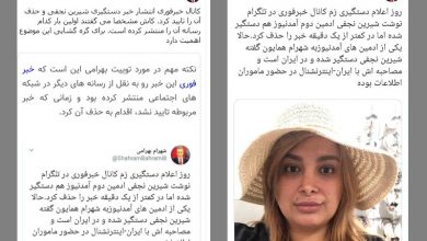 ادعای صدای آمریکا: «شیرین نجفی» در ایران است!