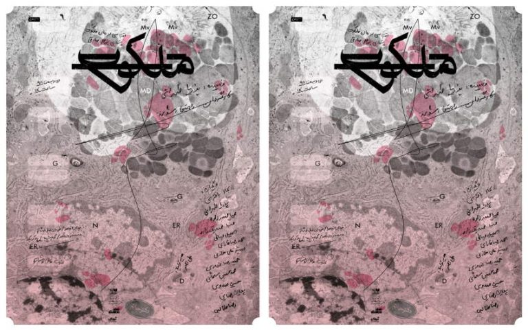 عمارت نمایشی نوفل لوشاتو میزبان ملکوت میشود
