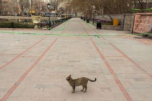 کرونا و دروغ روز اول آوریل