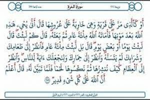 آیه صاحب الحمار؛ حکایتِ رؤیا یا واقعیت؟