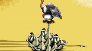 کارتون | «اقتصاد تخم مرغی»