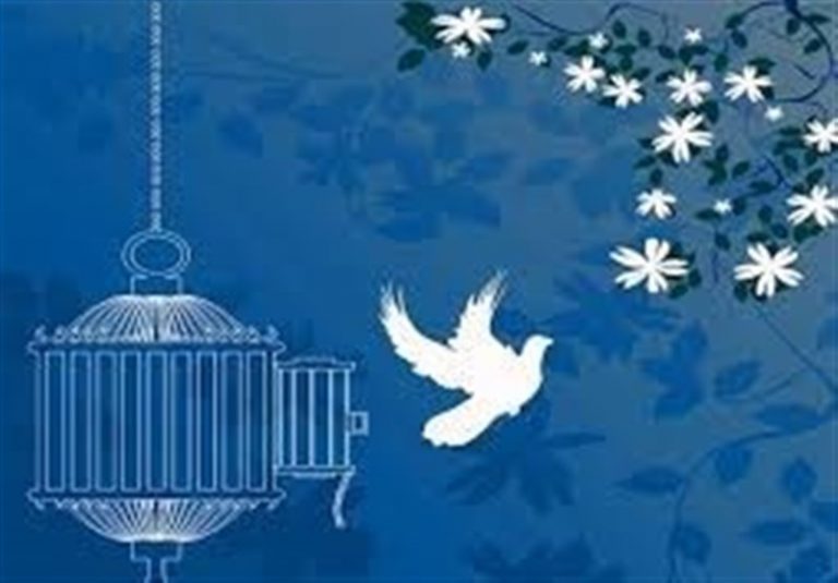 گزارشی از «آزادی ۴۰ هزار زندانی در دوره تحول قوه قضائیه»