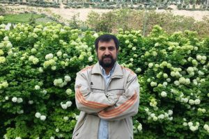 شهاب الدین حائری شیرازی