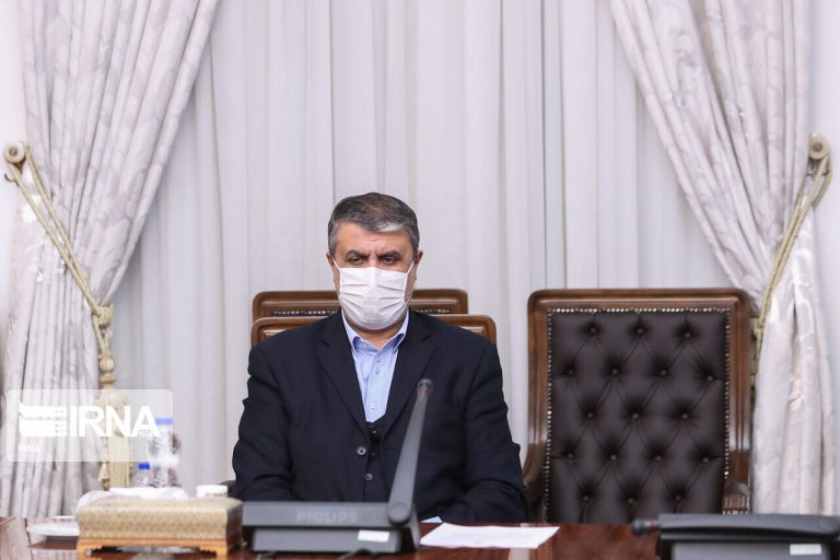 محمد اسلامی رییس سازمان انرژی اتمی