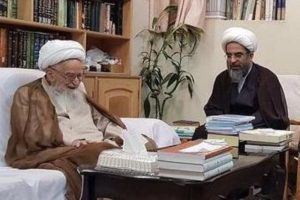 واكنش آيت الله فاضل لنكراني به اهانت به مراجع تقيلد/ مراجع واقعاً نگران وضع مردم هستند
