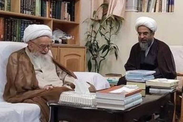 واكنش آيت الله فاضل لنكراني به اهانت به مراجع تقيلد/ مراجع واقعاً نگران وضع مردم هستند