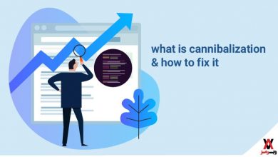 cannibalization چیست؛ با روش‌های حل آن آشنا شوید