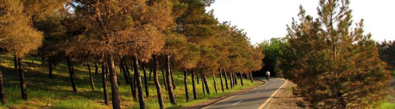پارک های جنگلی تهران