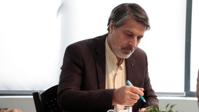 عمادالدین باقی