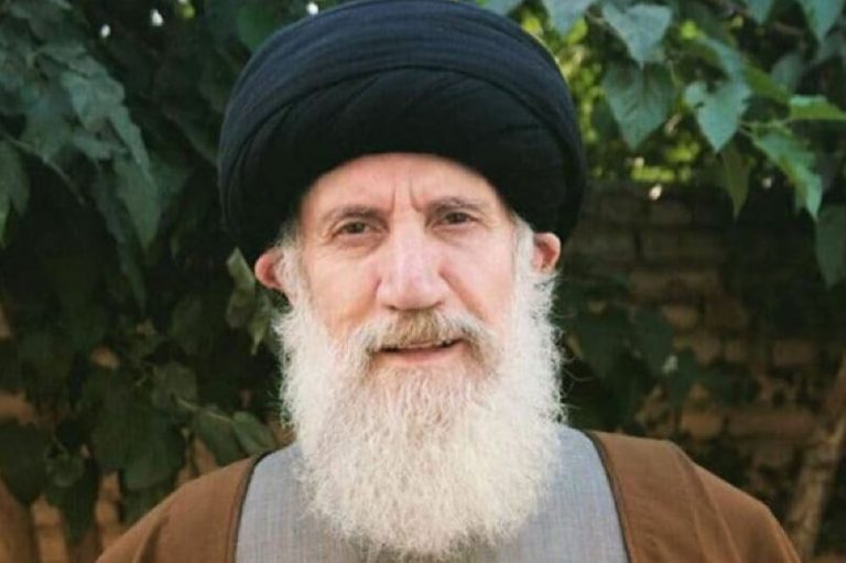 چرا آیت الله فاطمی نیا به دانشگاه امام صادق نمی‌رفت؟
