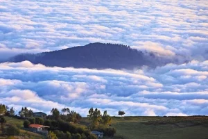 فیلبند