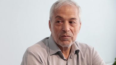 محمود میرلوحی