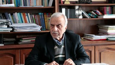 سید مصطفی هاشمیطبا