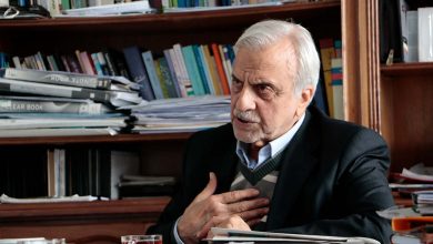 سید مصطفی هاشمیطبا