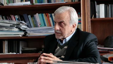 سید مصطفی هاشمیطبا