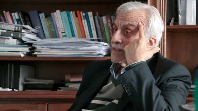 سید مصطفی هاشمیطبا