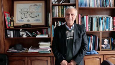 سید مصطفی هاشمیطبا