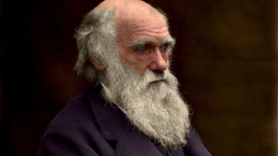 داروین و رویکردهای تکاملی به فلسفه