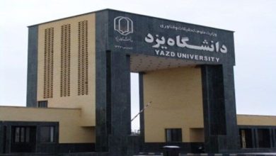 حشرات موذی در خوابگاه‌های دانشگاه یزد سمپاشی شدند