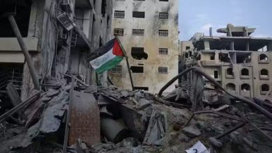 جمعی از کنش‌گران ایرانی به گوترش در رابطه با جنگ غزه