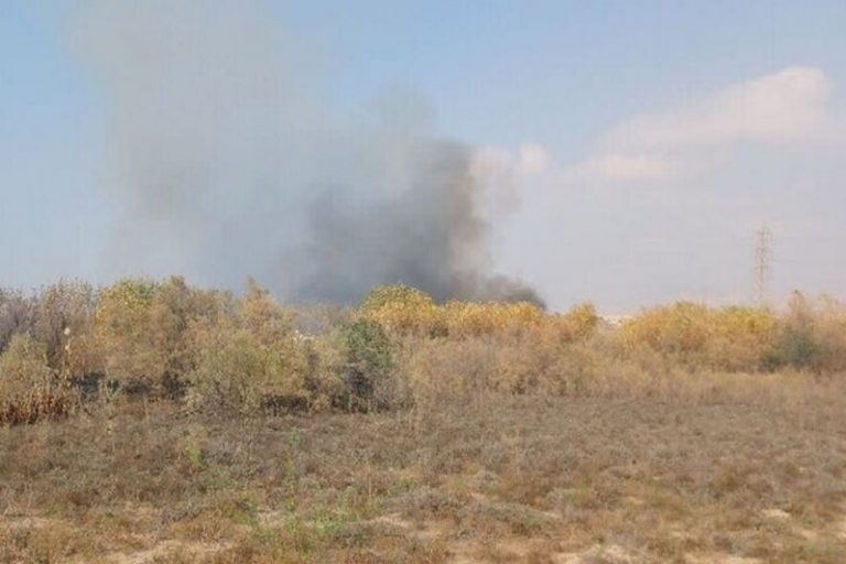 «آتش‌سوزی در روستای «چاه شور» گناوه مهار شد»