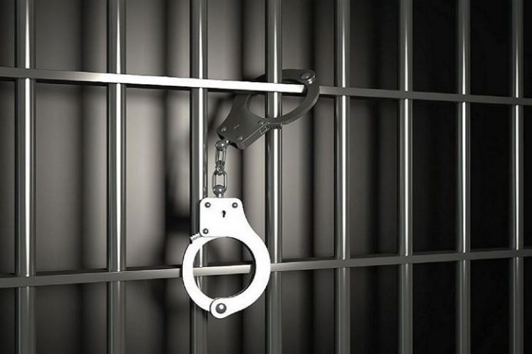 کشف ۱۷۲ فقره سرقت و دستگیری ۱۳۴ نفر سارق در پردیس