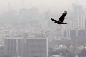 «۶۵ درصد کل بنزین کشور غیراستاندارد است»