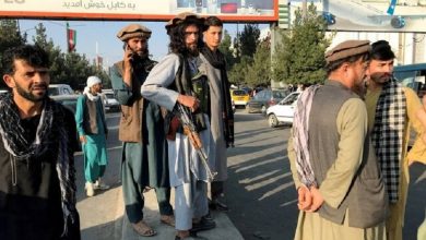 «ورود مهاجرین افغان به این ۱۶ استان ممنوع است»