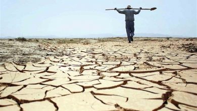 «خشکسالی در کرمان بحرانی و پیچیده است»