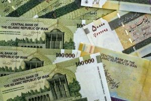 «حذف یارانه تعدادی از یارانه‌بگیران در دی ماه»