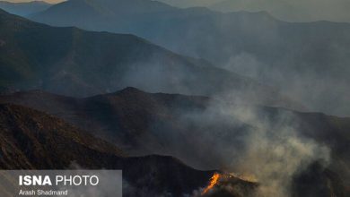 آتش به جان جنگلهای شهرستان نور افتاد