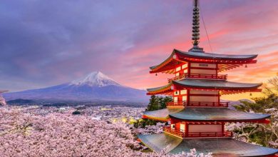 «اصلاحات ژاپن چهاردهه پس از اصلاحات امیرکبیر شکل گرفت»