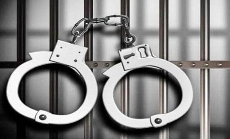 ۴ سارق حرفه‌ای سیم و کابل در هلیلان ایلام دستگیر شدند