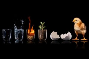 حیات چگونه آغاز شد؟