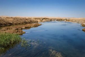 تالاب گاوخونی چشم‌انتظار حقابه‌ی وزارت نیرو