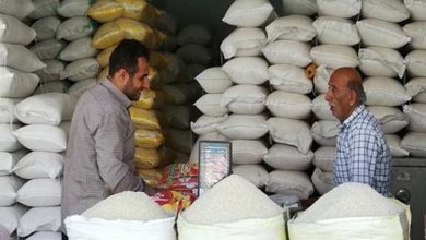 استقبال‌نکردن زنجانی‌ها از برنج ایرانی