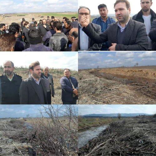 دستگیری تخریب‌کنندگان درختان جنگلی حاشیه رودخانه ارس